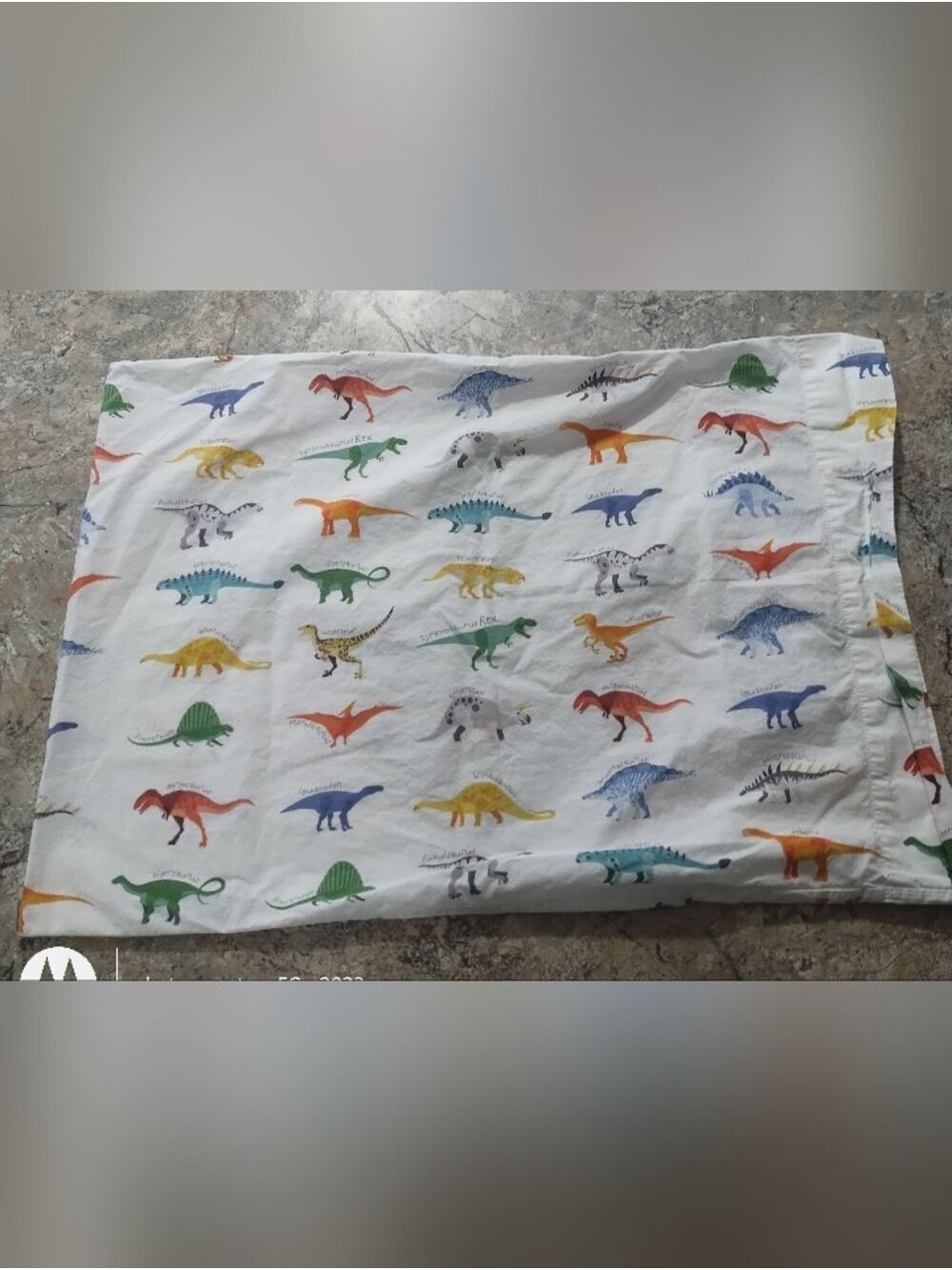 Pottery Barn Dinosaur Standard Pillowcase Organic Cotton Dino - Picture 2 of 6